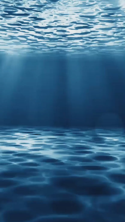 Pacific Bitcoin 2023 Whale Booster Packs - Limited Edition 1210 packs